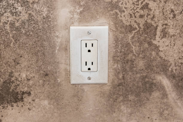 Mold Documentation for Insurance Claims in Estes Park, CO